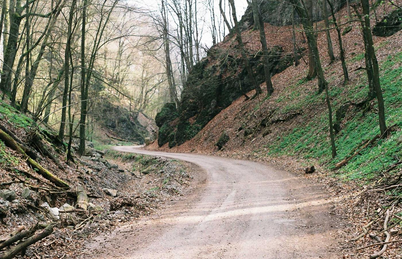 Elder teaching a younger person a craft